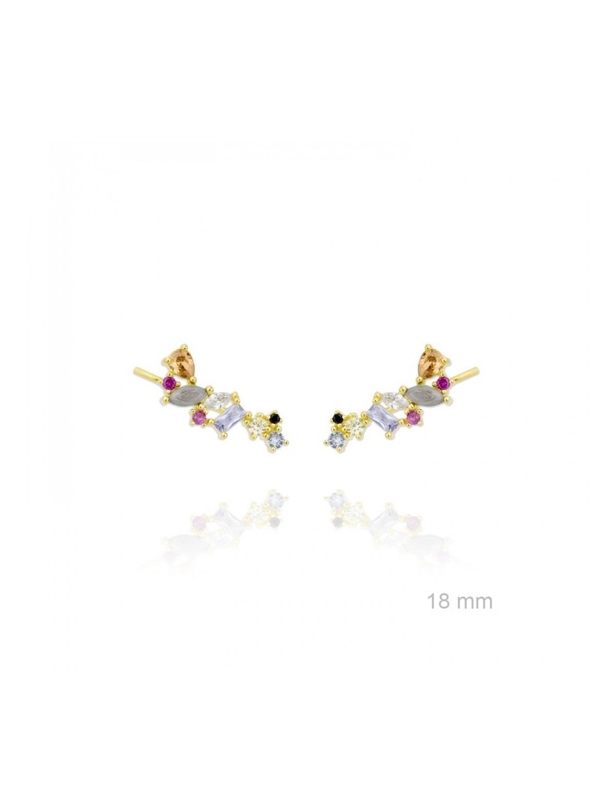 TREPADORES PLATA Y CIRCONITA