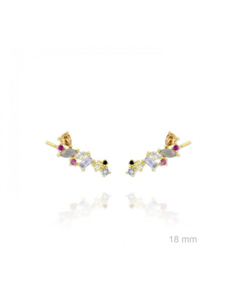 TREPADORES PLATA Y CIRCONITA