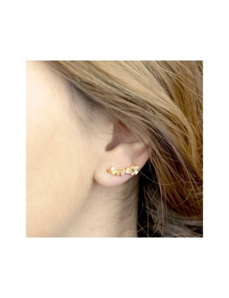 TREPADORES PLATA Y CIRCONITAS