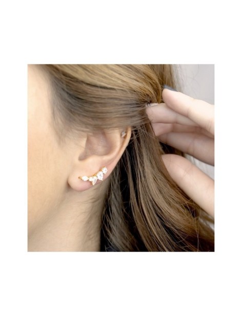 TREPADORES PLATA Y CIRCONITAS