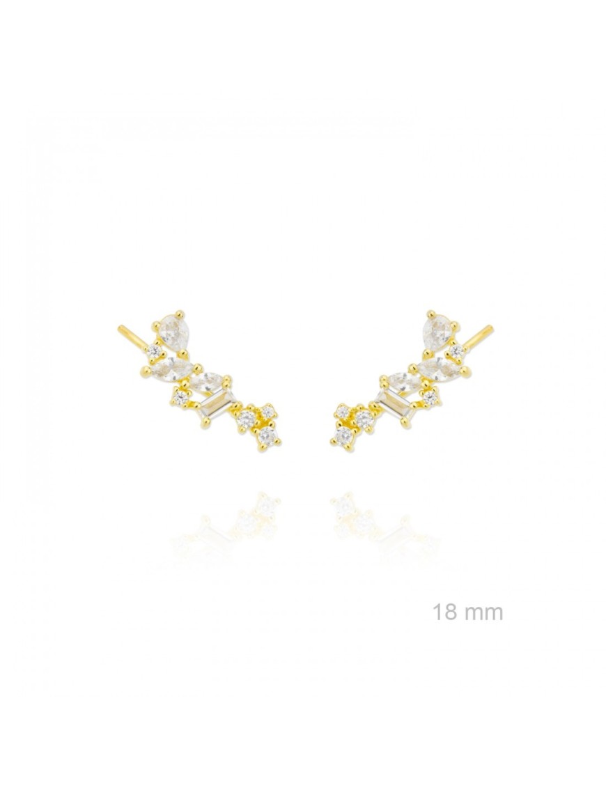 TREPADORES PLATA Y CIRCONITAS