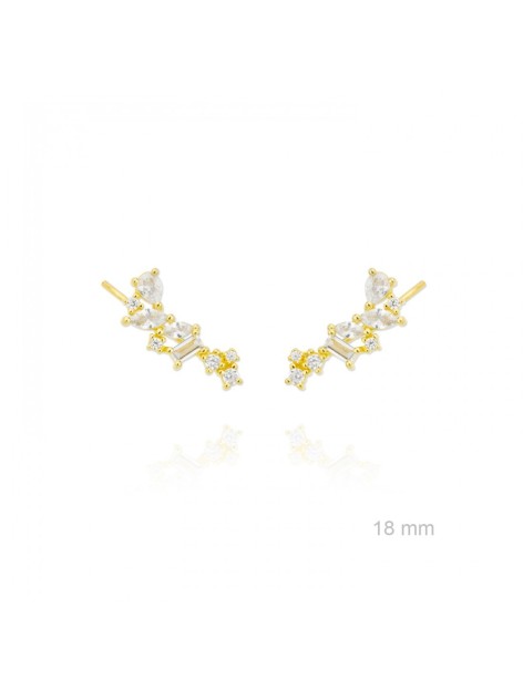 TREPADORES PLATA Y CIRCONITAS