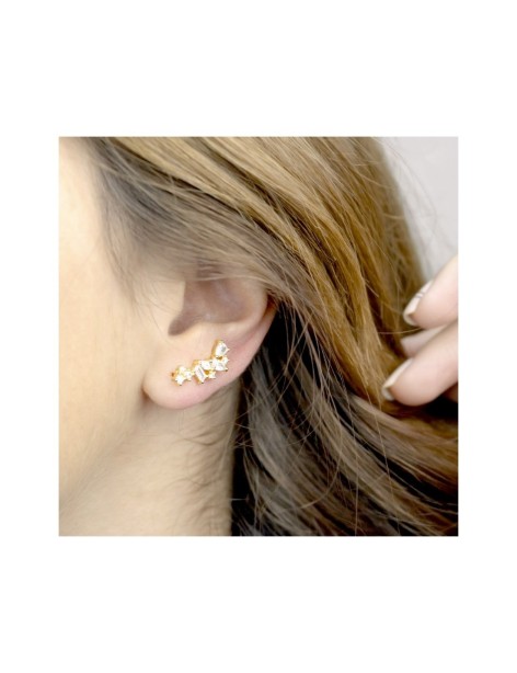 TREPADORES PLATA Y CIRCONITAS