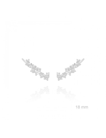 TREPADORES PLATA Y CIRCONITAS