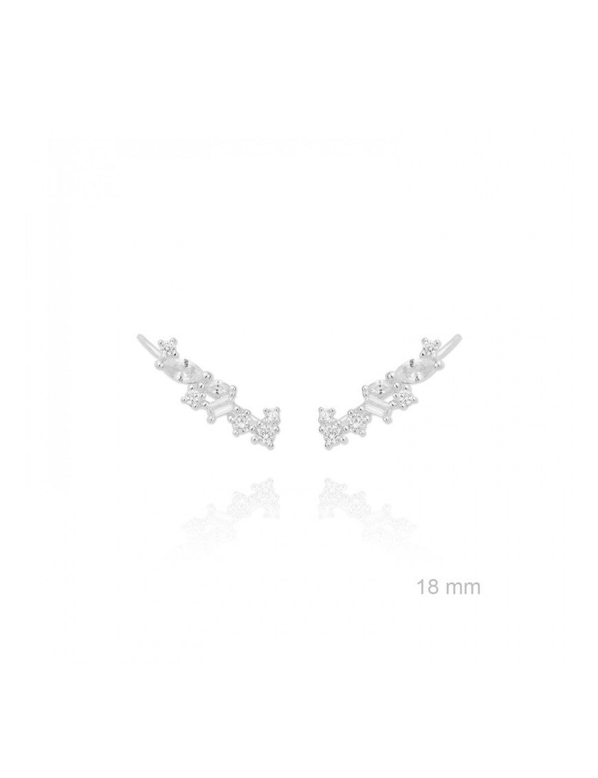 TREPADORES PLATA Y CIRCONITAS