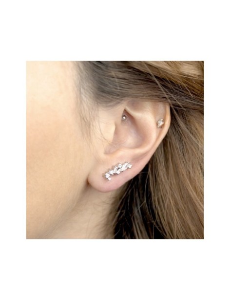 TREPADORES PLATA Y CIRCONITAS