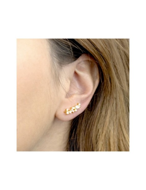 TREPADORES PLATA Y CIRCONITAS