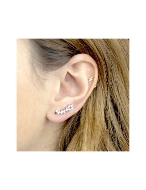 TREPADORES PLATA Y CIRCONITAS