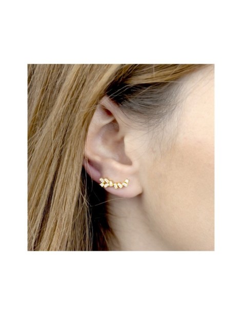 TREPADORES PLATA Y CIRCONITAS