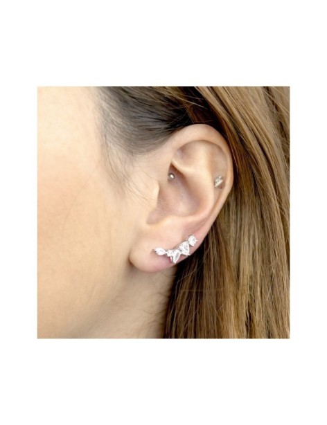 TREPADORES PLATA Y CIRCONITAS