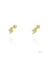 PENDIENTES PIERCING SERPIENTE EN PLATA Y CIRCONITAS